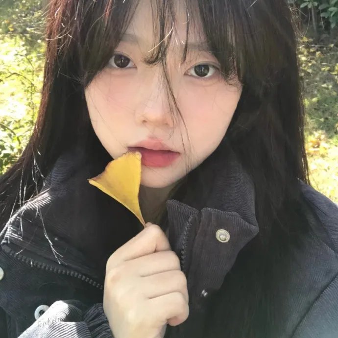 美国总统